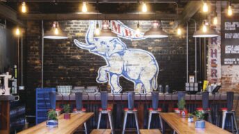 Elephant & Co